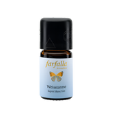 Farfalla fir needle silver essential oil 5ml - Beauty & the Lion